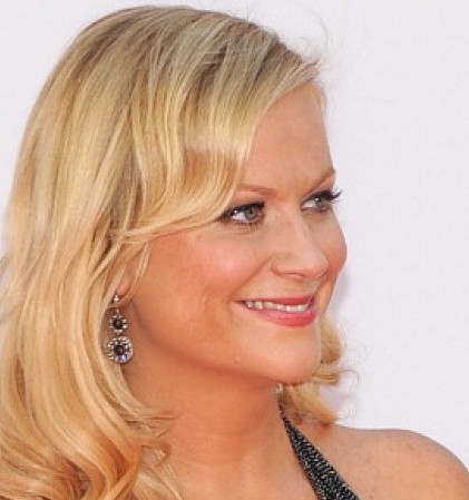 Amy Poehler Wiki, Husband, Divorce or Boyfriend and Net Worth