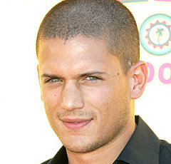 Wentworth Miller Wiki, Married, Wife, Girlfriend, Dating or Gay(Boyfriend)